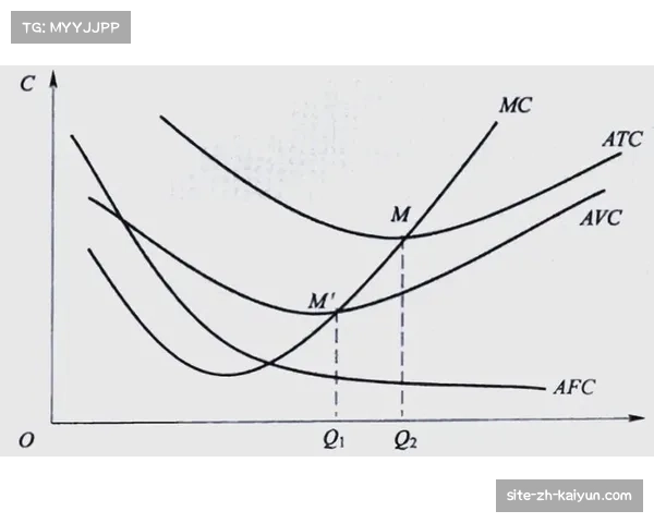 海登海姆作为升班马表现超预期 其商业价值呈现显著上升曲线